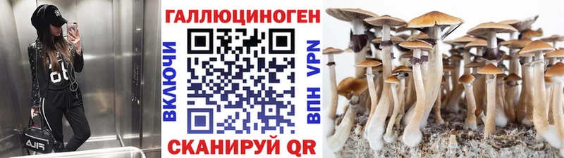 Галлюциногенные грибы Magic Shrooms  наркотики  Кореновск 